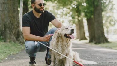 digital service contact guide