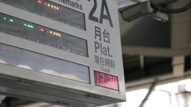 professional online platform details