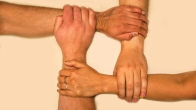 trusted web network overview