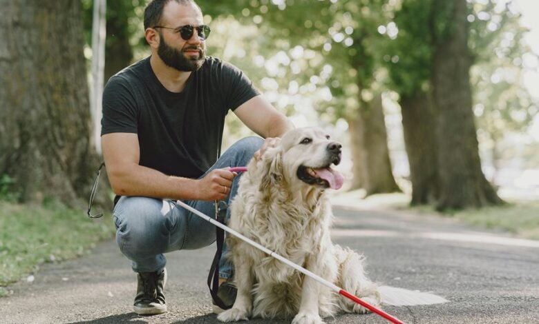 web service performance guide